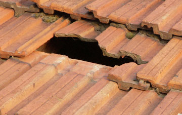 roof repair Caute, Devon
